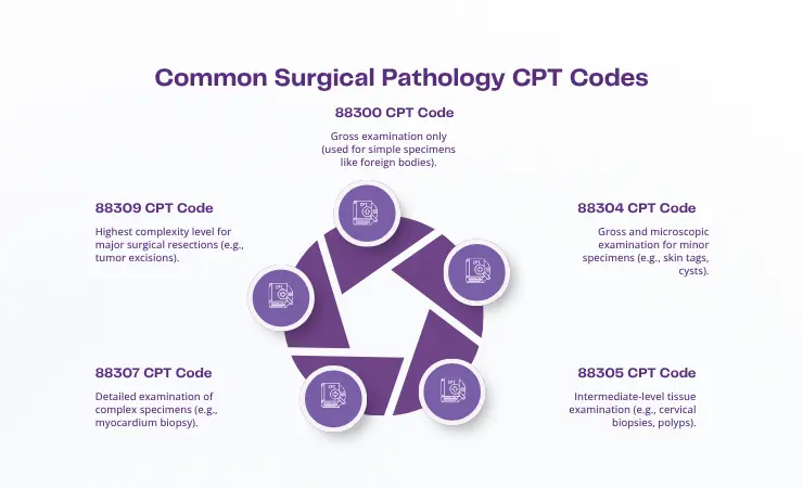 common surgical pathology cpt codes